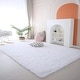 preview thumbnail 3 of 126, Large Shaggy Home Decor Carpets Fluffy Area Rugs for Living Room Bedroom