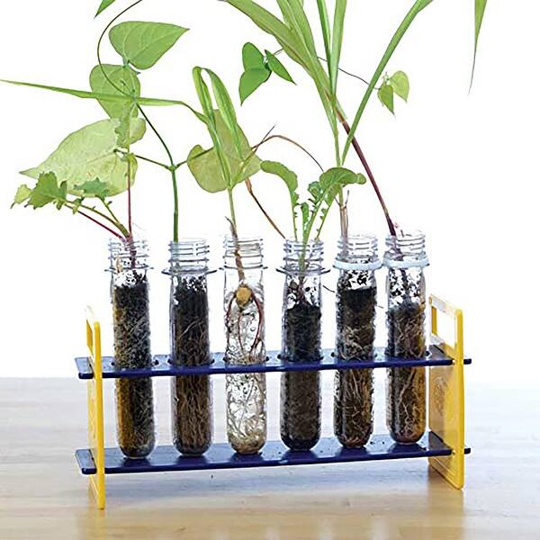 https://ak1.ostkcdn.com/images/products/is/images/direct/7f8cab83f538d1236f6608d60a6a94641b4a312d/Steve-Spangler-Science-STEM-Botany-Activity-Kit---Diggin%27-Science.jpg?impolicy=medium