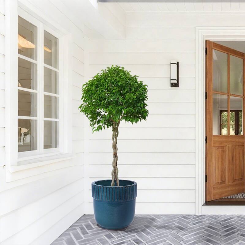 Glossy Ribbed Handmade Ceramic Planter Pot, for Succulents and Herbs