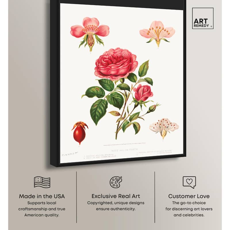 Rose and its parts (1872) Canvas by Art Remedy
