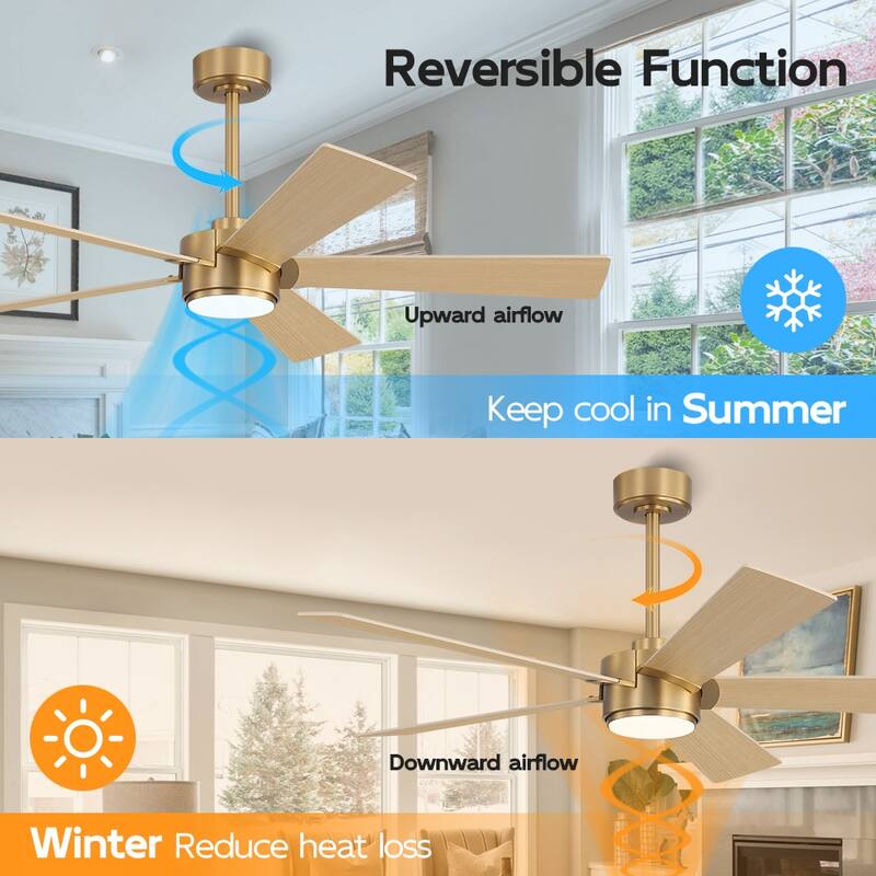 MLiAN 54 In. 5 Blades Indoor LED Ceiling Fan with Remote Control - 54"