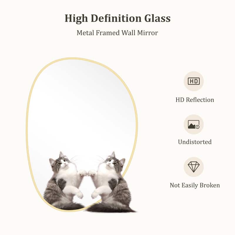 Aluminum Alloy Asymmetrical Wall Mirrors
