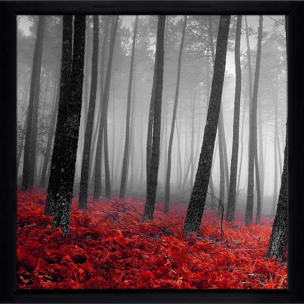 "47 Autumn Woods" by PhotoINC Studio I Print on Acrylic