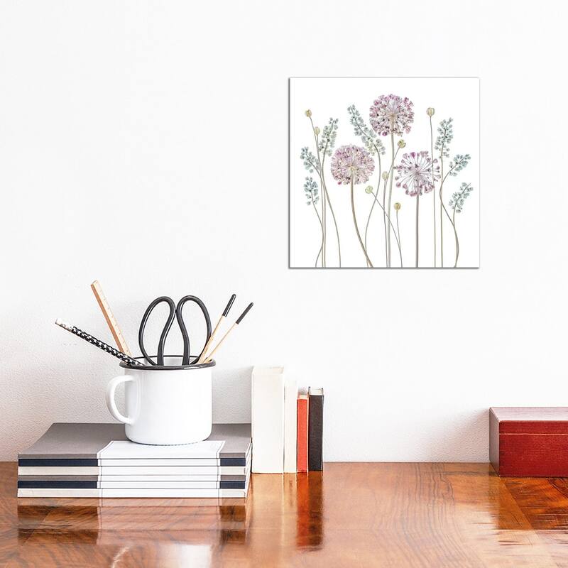iCanvas "Allium" by Mandy Disher Canvas Print - 12x12x1.5