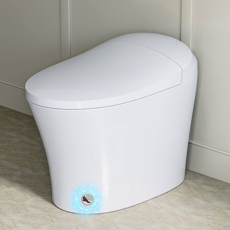 HOROW One Piece Dual Flush Elongated Toilet 1.27 GPF White Seat Included