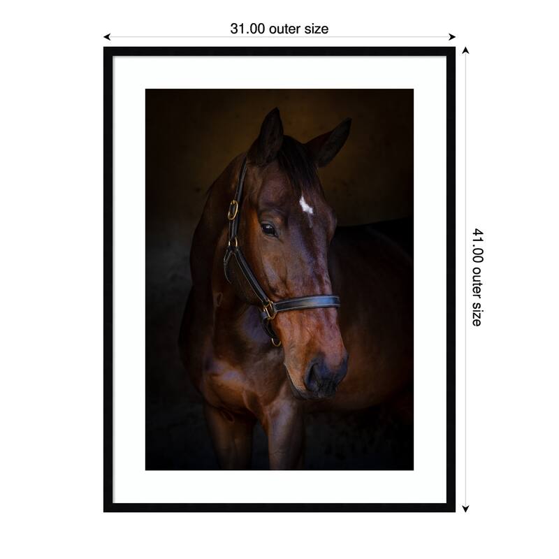 The Horse by Hein Jonker Wood Framed Wall Art Print