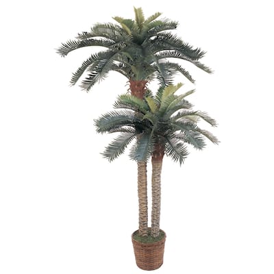 Silk Sago Palm Tree with Double Pots - 6ft & 4ft Indoor Faux Plant Decor - 6ft.
