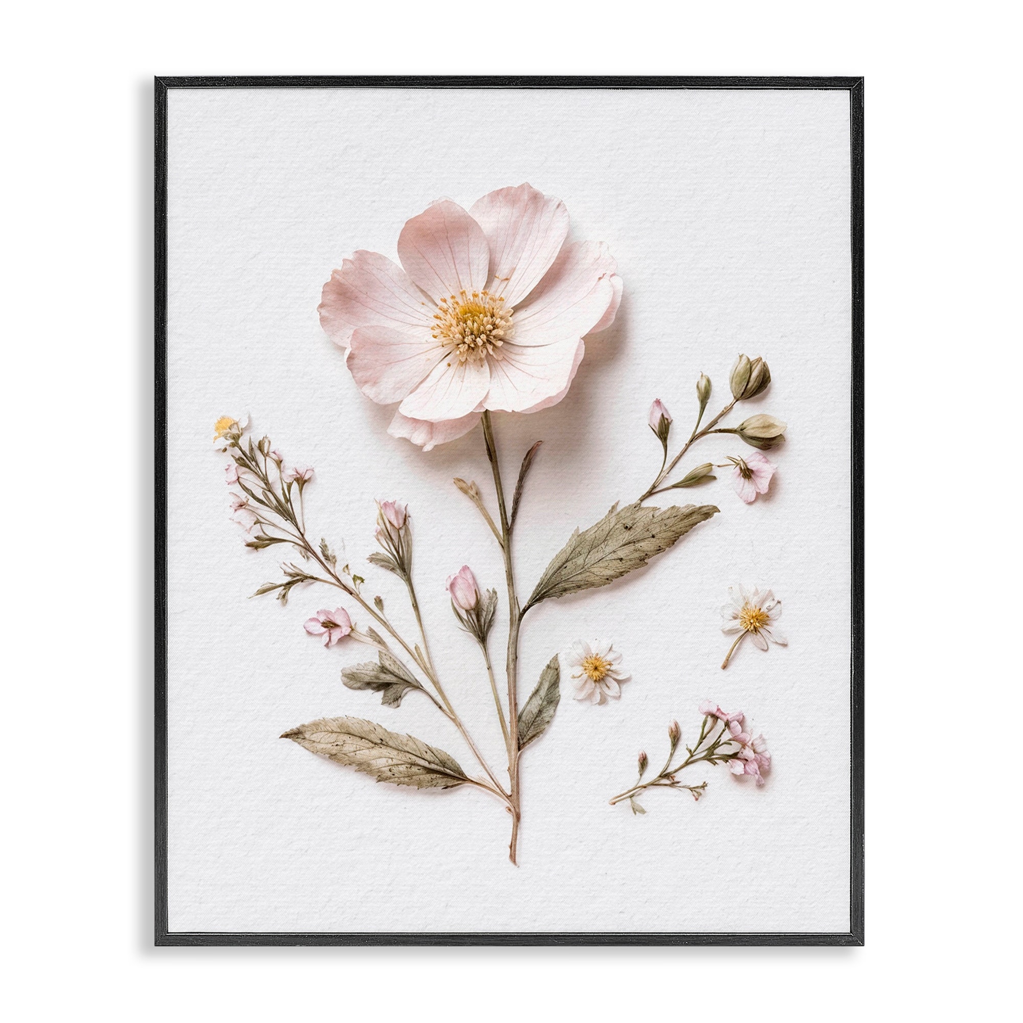 Stupell Pressed Wild Flowers Framed Giclee Art Design By Lettered and Lined