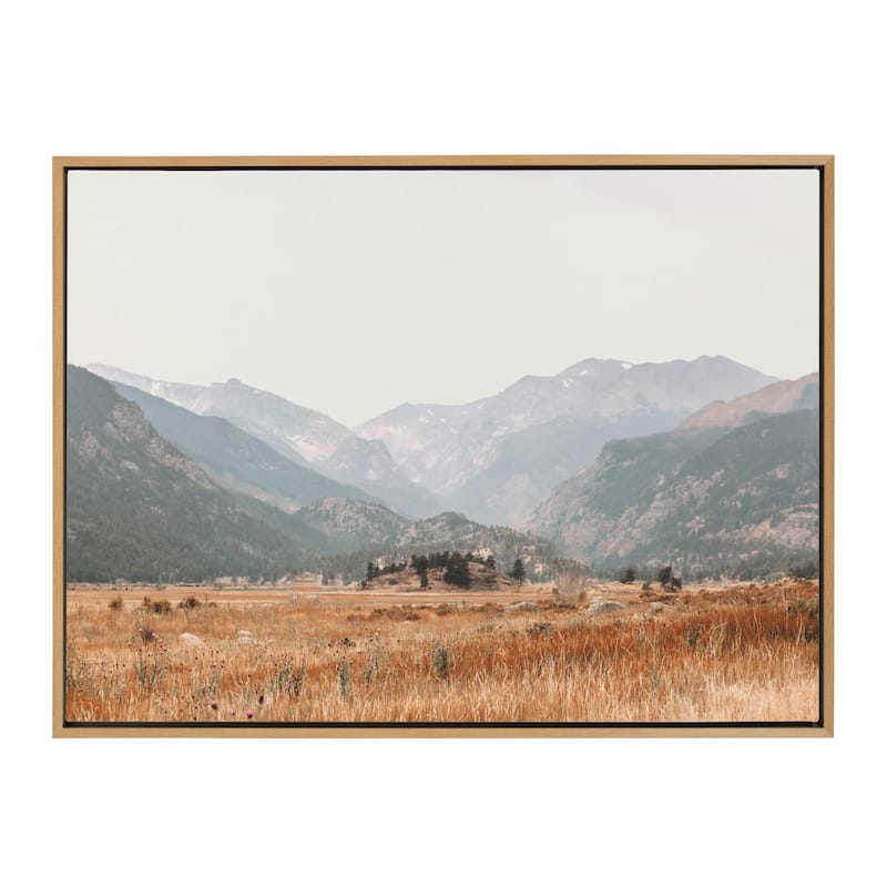 Kate and Laurel Sylvie AA Wanderings Framed Canvas by Alicia Abla