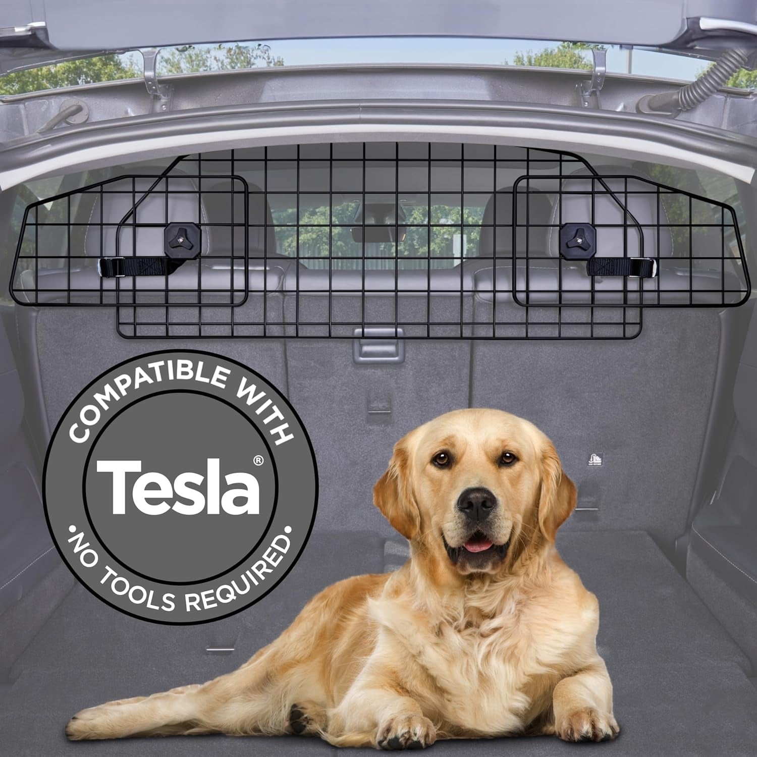 Tesla model clearance x dog barrier