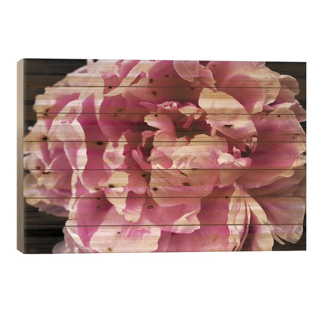 Pink Peony Passion IV Print On Wood by Irena Orlov - Multi-Color