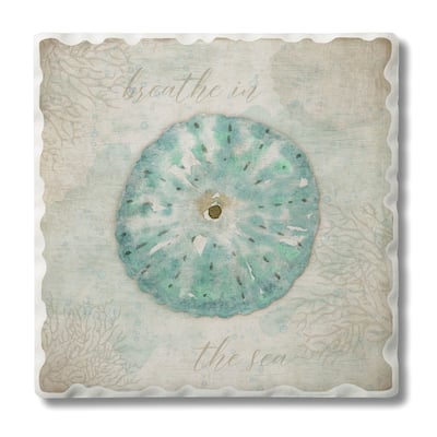Counterart Absorbent Stone Coasters - Sand Dollar - Set of 4 - 4x4x1.485