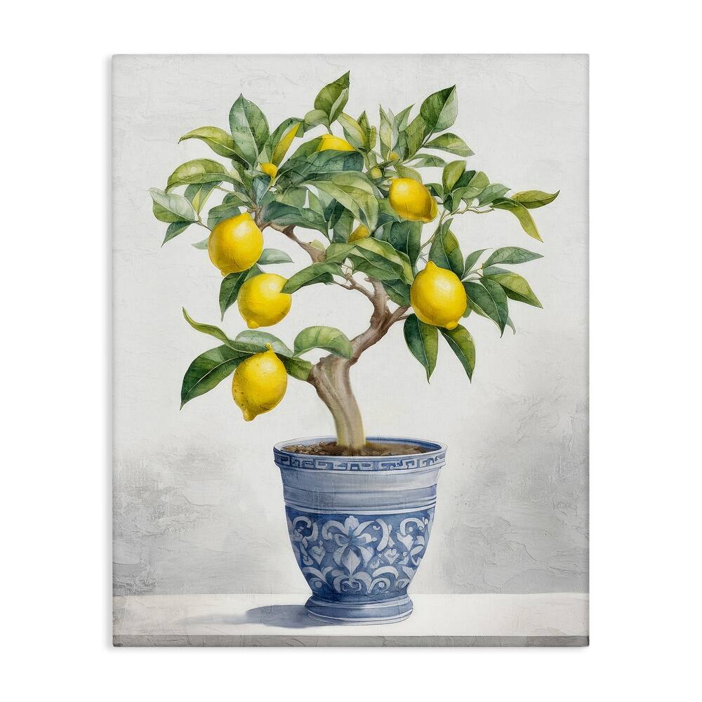 Stupell Traditional Potted Lemon Tree Canvas Wall Art Design By Kim Allen