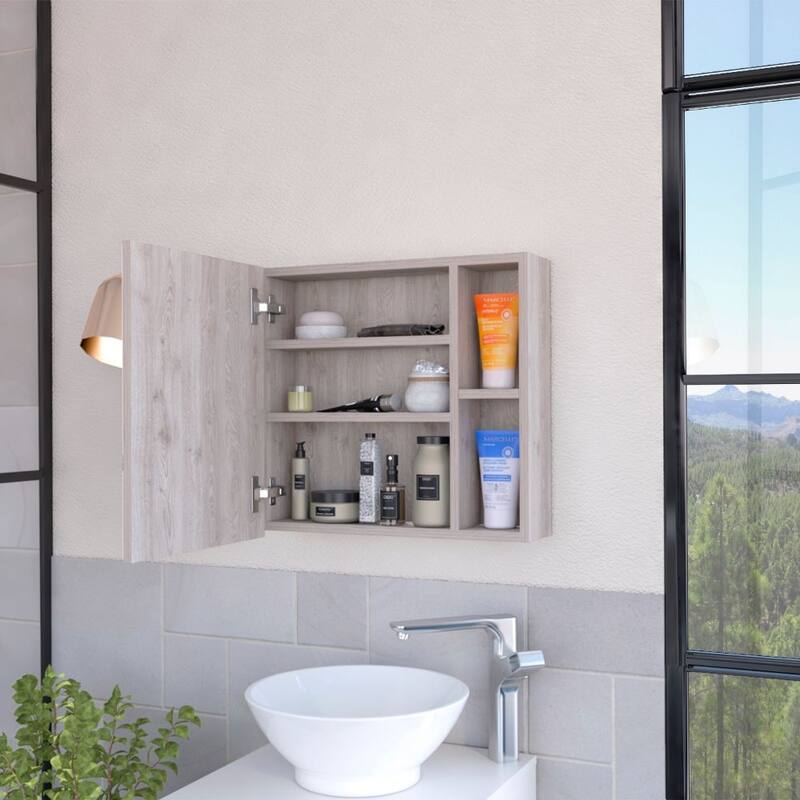 Myrick 2-Shelf Medicine Cabinet with Mirror