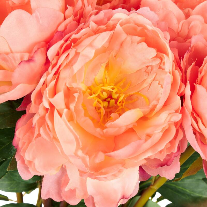 Orange Faux Foliage Tall Peony Artificial Flower Stem (Set of 8)