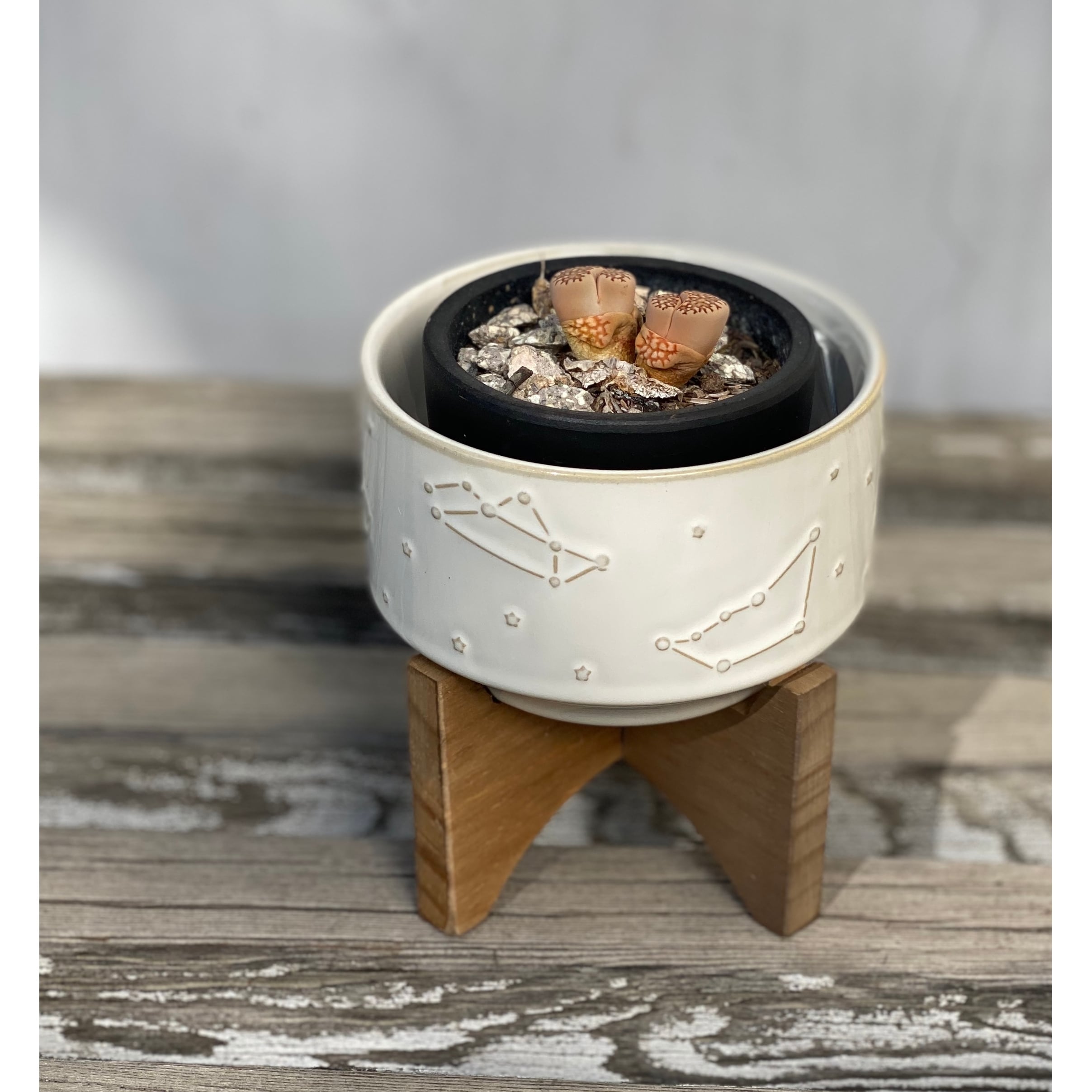 Mid-Century 4" Constellation Ceramic Pot on Wood Stand,Ivory