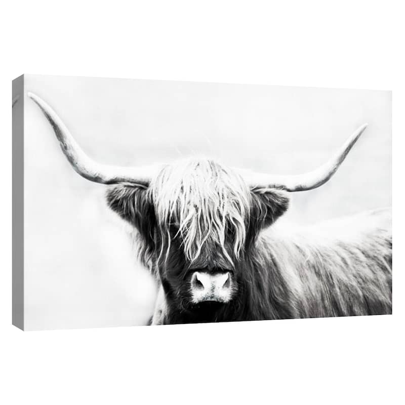 Highland Longhorn by Danita Delimont Canvas Art Print