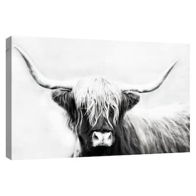 Highland Longhorn by Danita Delimont Canvas Art Print