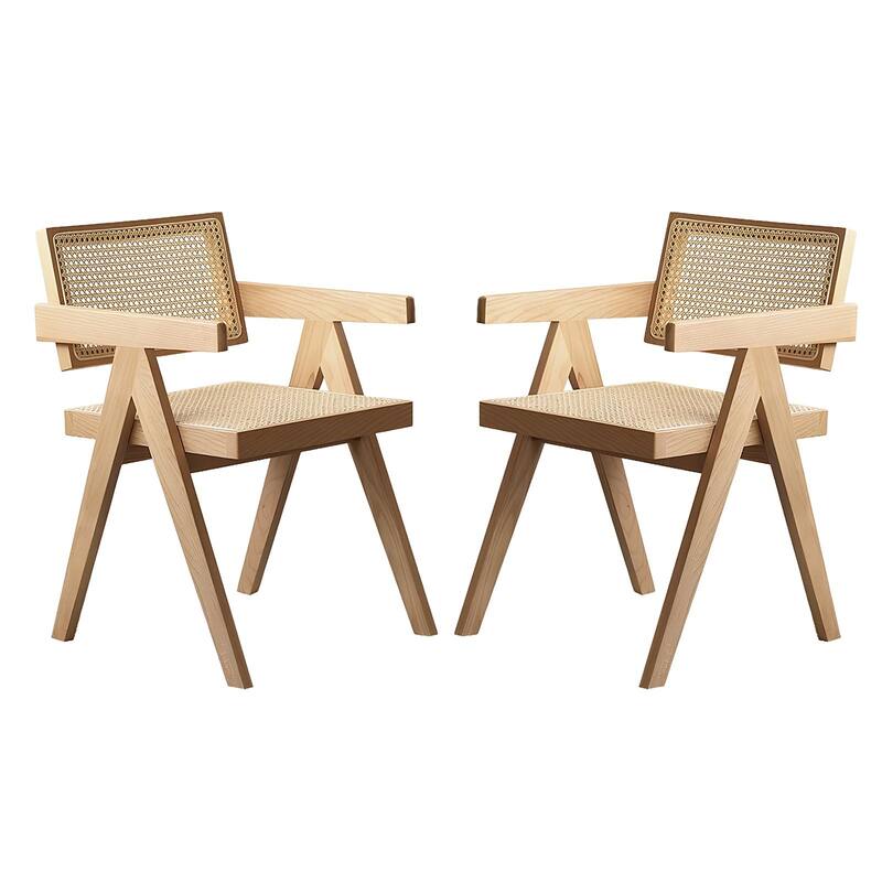 Mid-Century Modern Dining Chairs (Set of 2)