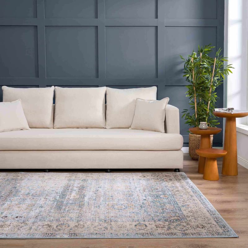 Hauteloom Anana Traditional Oriental Vintage Area Rug