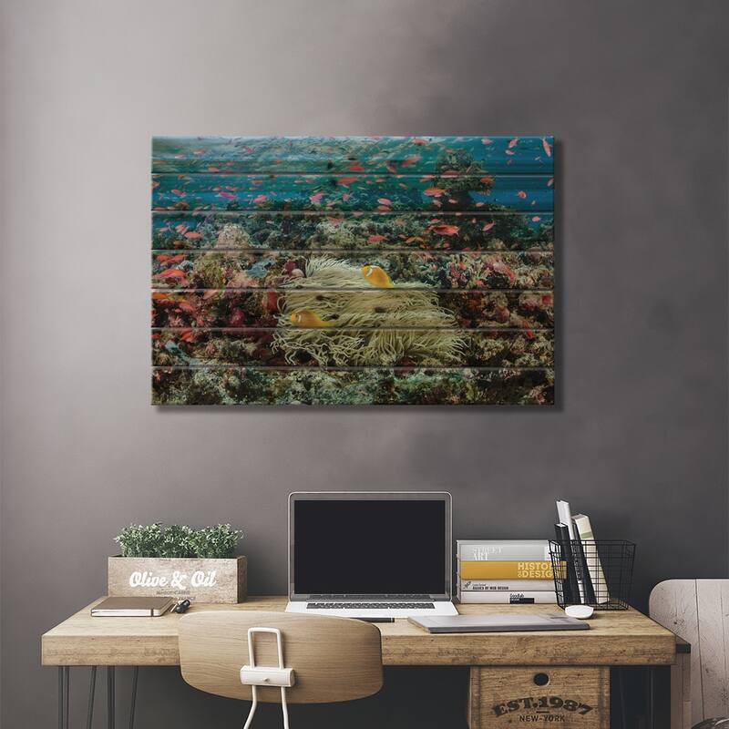 South Pacific, Solomon Islands. Reef of fish and corals. Print On Wood by Jaynes Gallery - Multi-Color