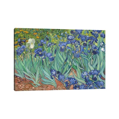 iCanvas "Irises, 1889 " by Vincent van Gogh Canvas Print