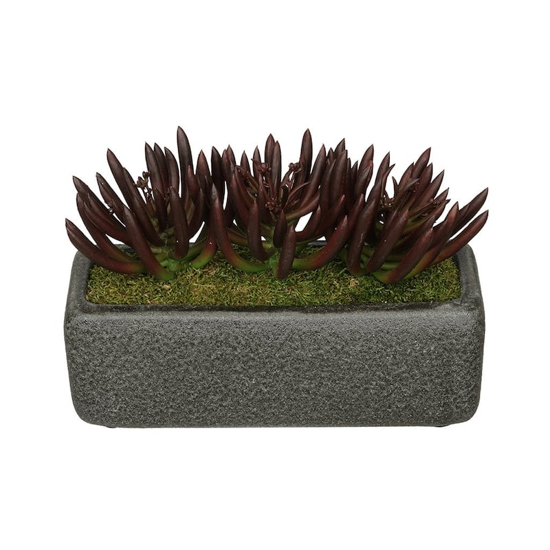 Faux Senecio Garden in Black Sandy-Texture Ceramic Vase