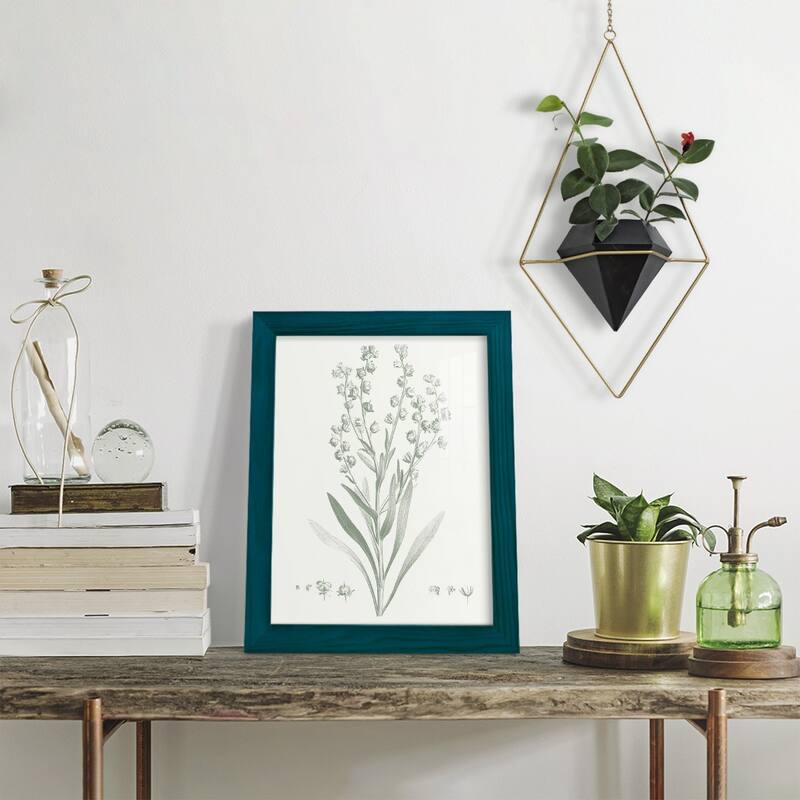 Botanical Study in Sage I -Framed Print w/glass-Cherry Red