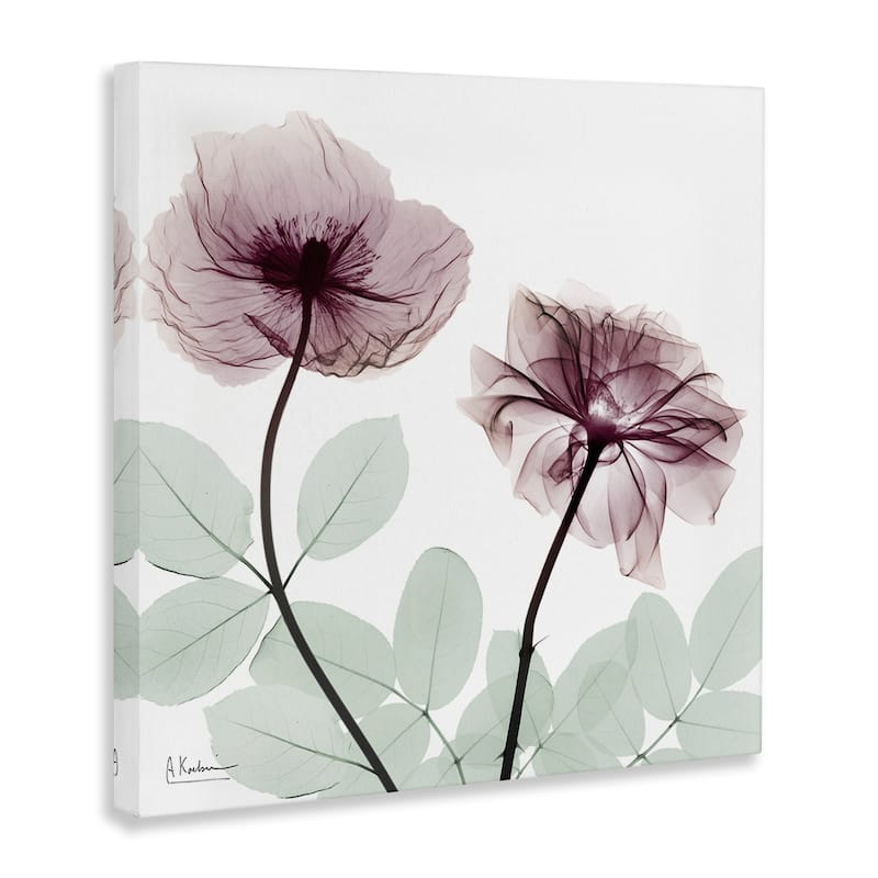 Stupell Delicate Floral Bunches Canvas Wall Art Design By Albert Koetsier
