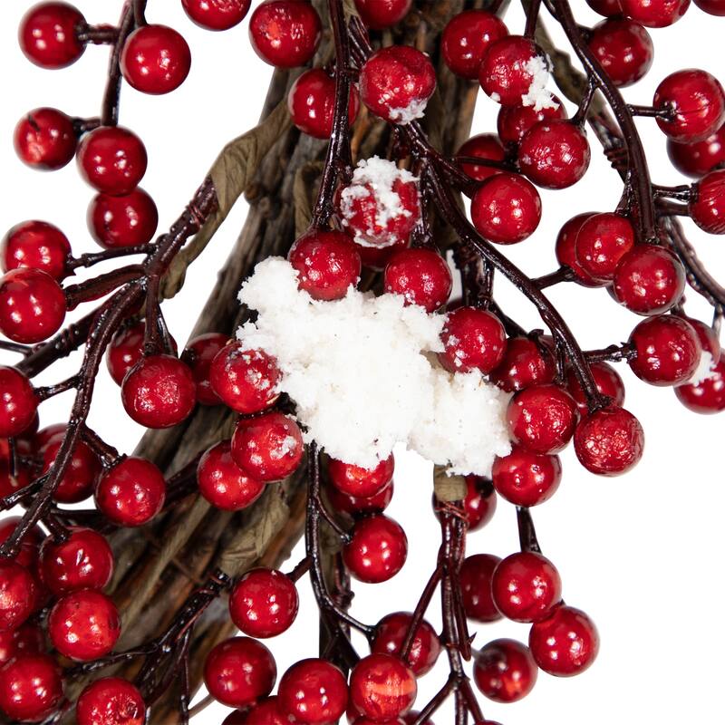 Red Berry with Frosted Accents Artificial Christmas Wreath - Unlit 18"