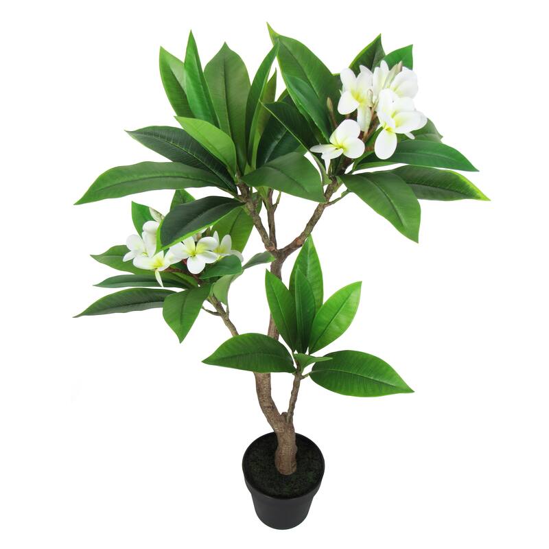 3ft Cream Artificial Plumeria Flower Tree Tropical Plant in Black Pot - 36" H x 20" W x 17" DP