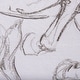 preview thumbnail 7 of 5, Horse I (30 x 40 ) Canvas Art Print
