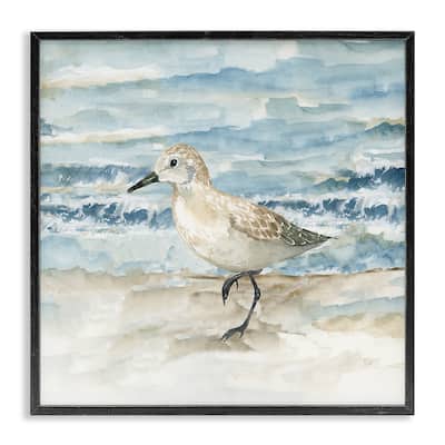 Stupell Balancing Sandpiper on Shore Framed Giclee Art Design By Nan