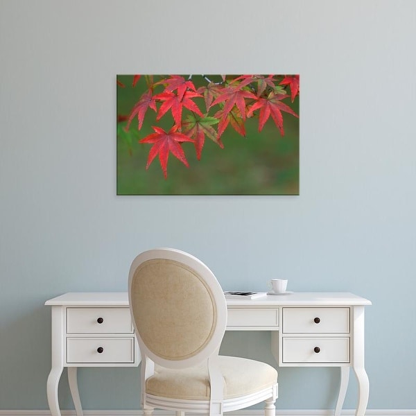 Easy Art Prints Rob Tilley's 'Maple Leaves' Premium Canvas Art