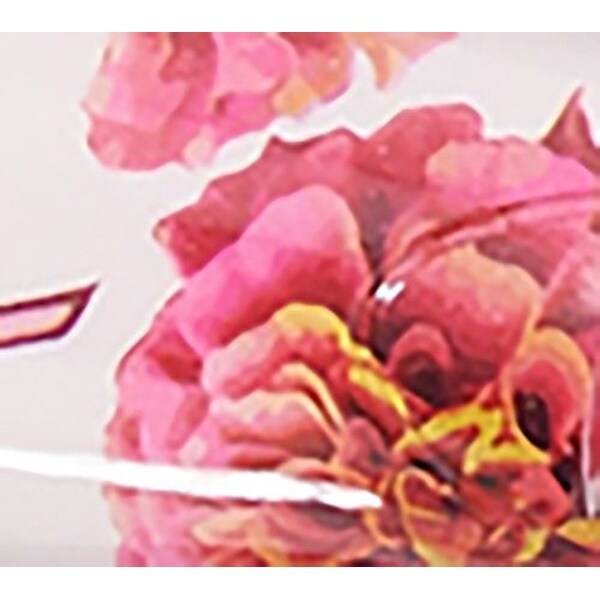 calista perfecter pro plus