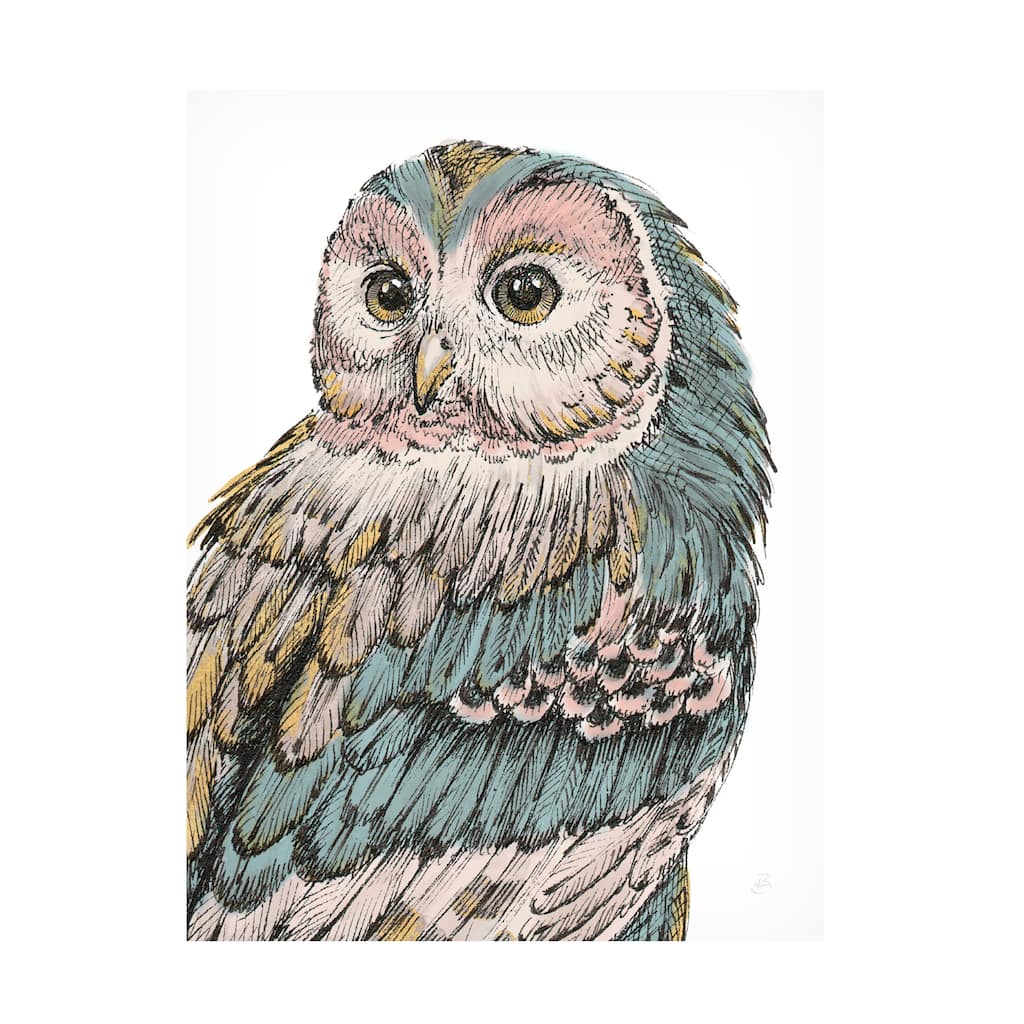 Daphne Brissonnet 'Beautiful Owls I Pastel' Canvas Art