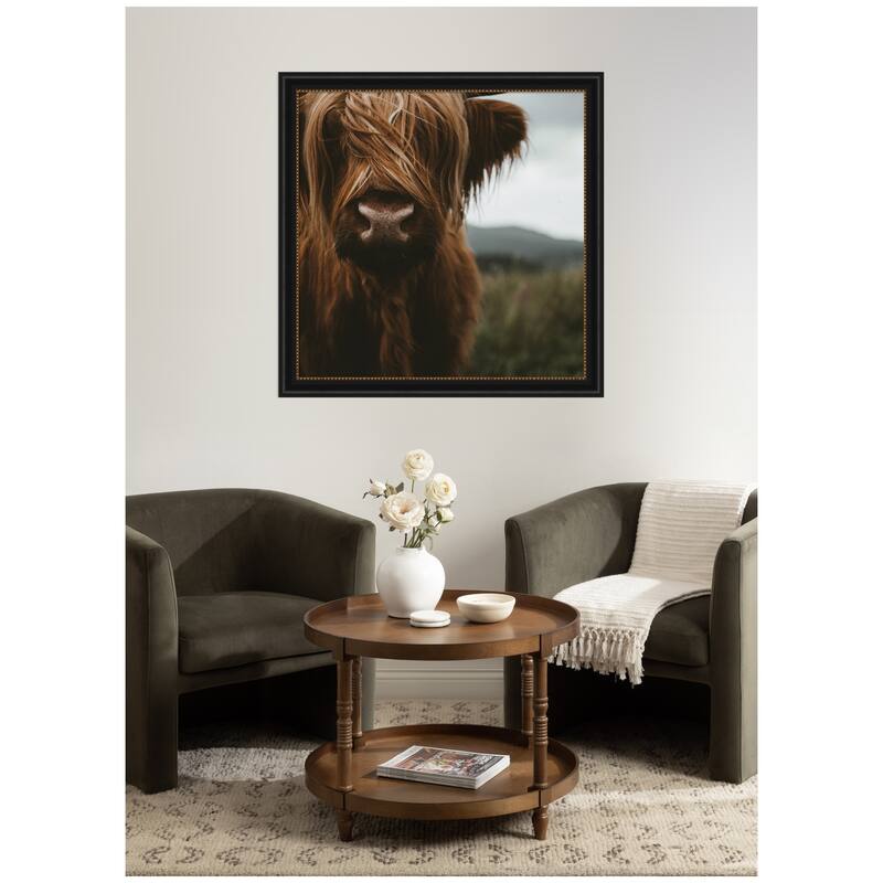 Kate and Laurel Close Up of Scottish Highland Cattle Baby SQ by Michael Schauer Framed Wall Art Print