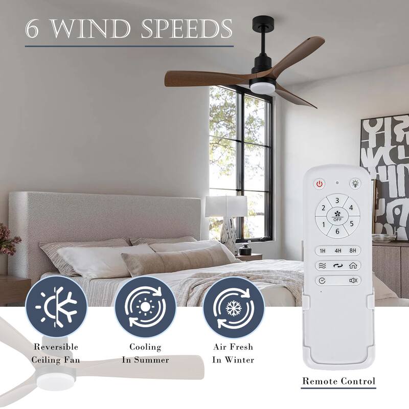 Morden LED Ceiling Fan with Light and Remote
