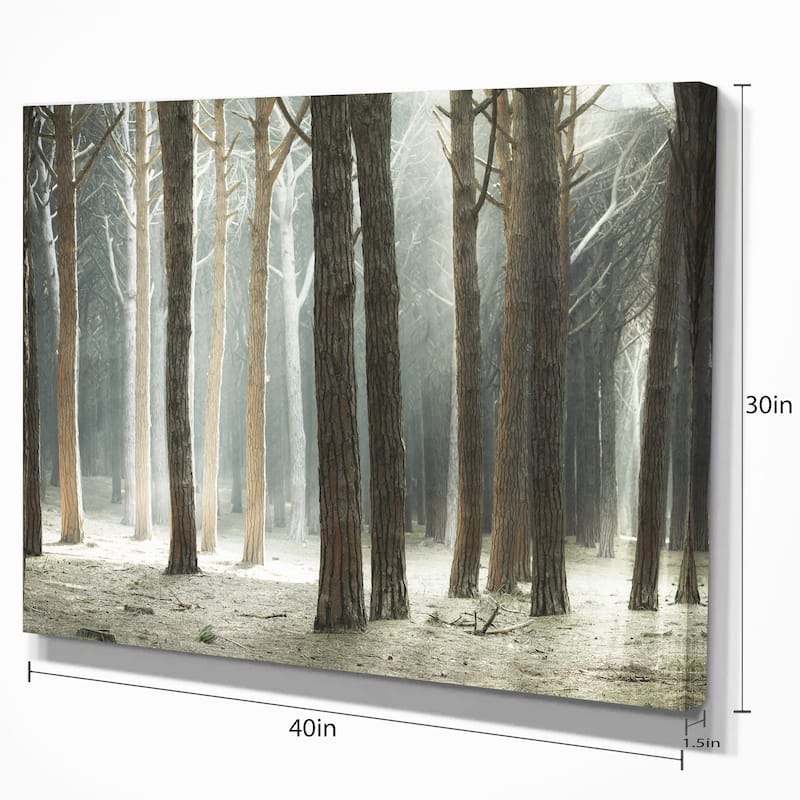 Maritime Pine Tree Forest with Rays - Oversized Forest Canvas Art - Blue