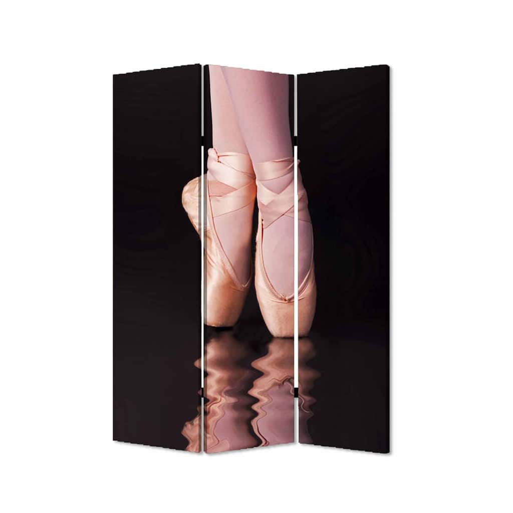 Ballet Shoe Print Foldable Canvas Screen with 3 Panels, Black and Pink - 6 x 12