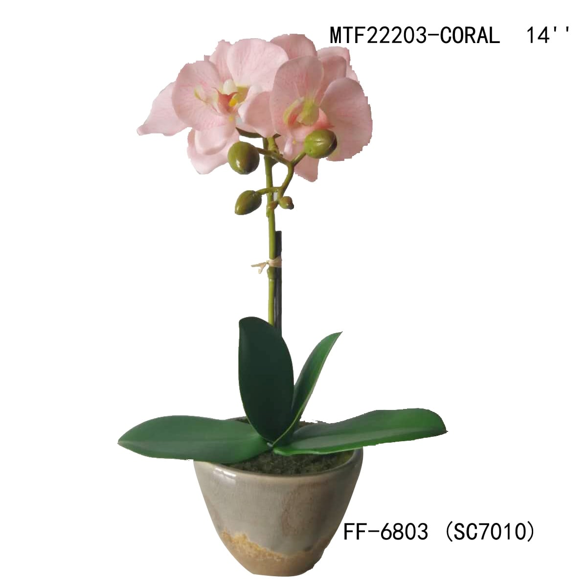 product-thumb