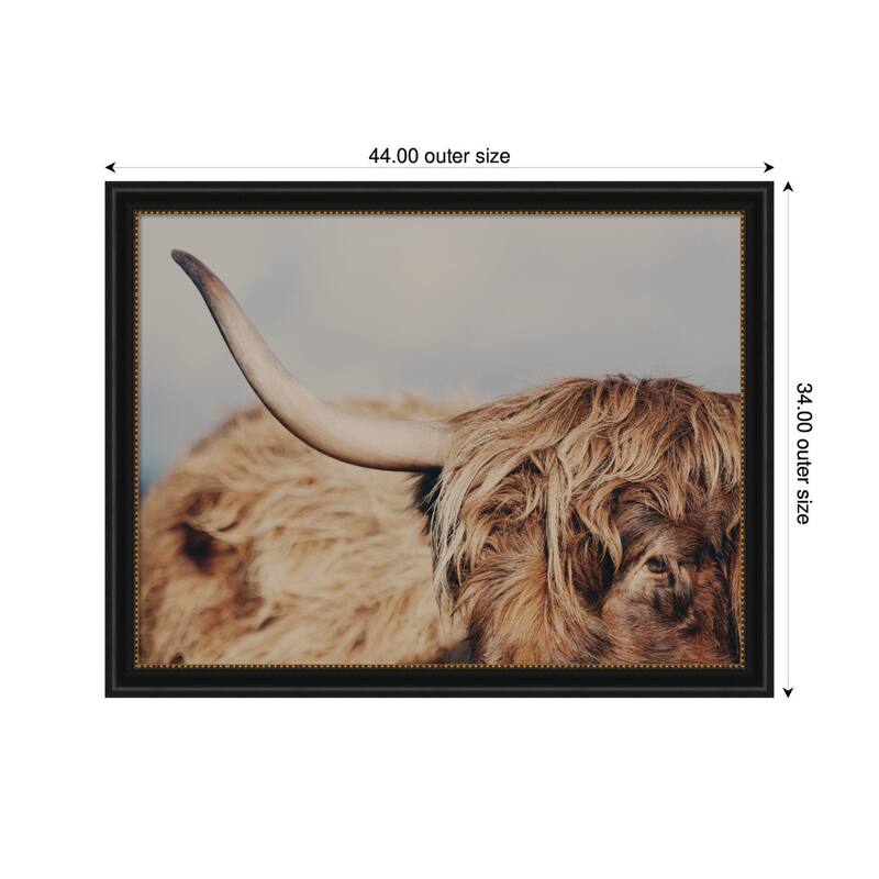 Kate and Laurel Highland Cow No. 4 Close by Laura Evans Framed Wall Art Print