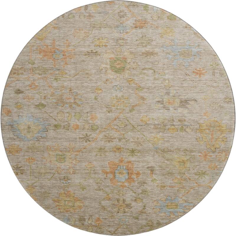 Premium Washable Super Soft Farmhouse Traditional Mayfield Rug