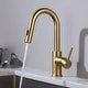preview thumbnail 57 of 63, Single-Hole Pull-Down Kitchen Faucet with Sprayer and Magnetic Docking