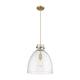 Option Brushed Brass / Seedy