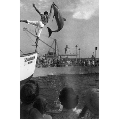 Miami Seaquarium Black and White Gallery Wrapped Canvas