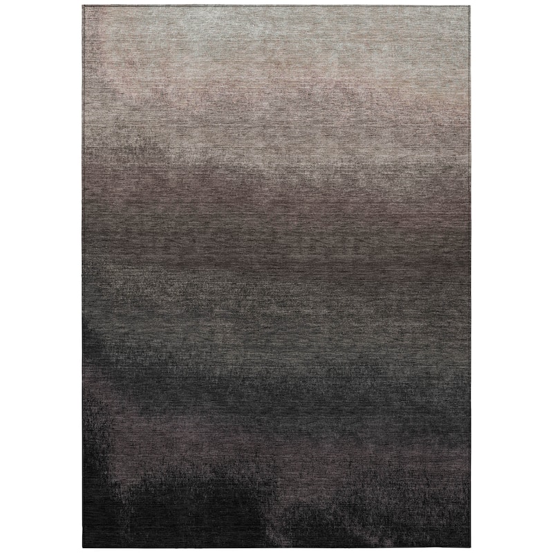 HomeRoots Ombre Transitional Rectangle Outdoor Rug
