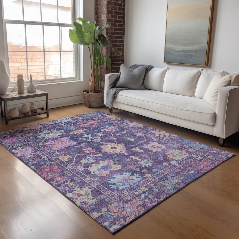 Machine Washable Indoor/ Outdoor Boho Traditional Chantille Rug