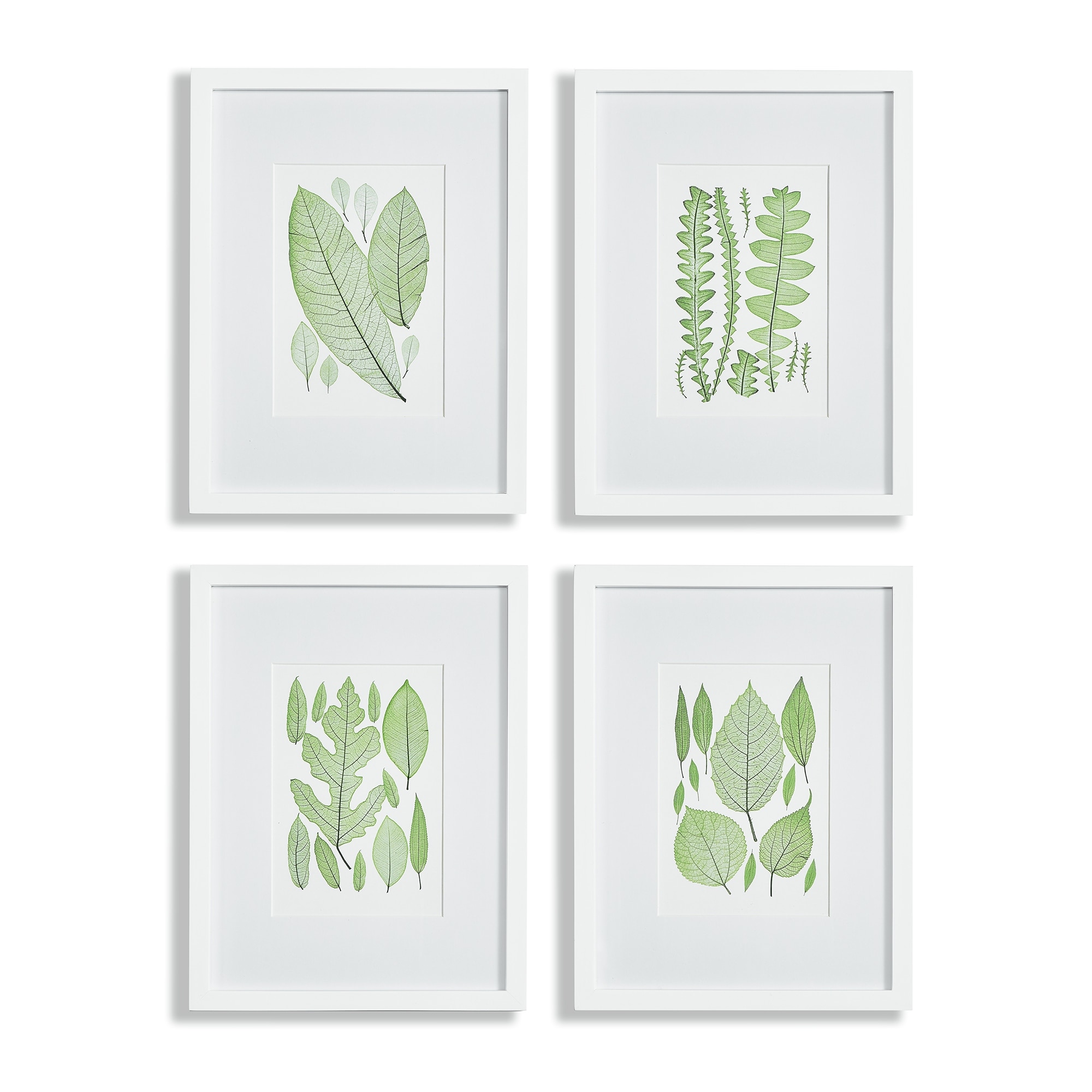 assorted leaf prints, set of 4