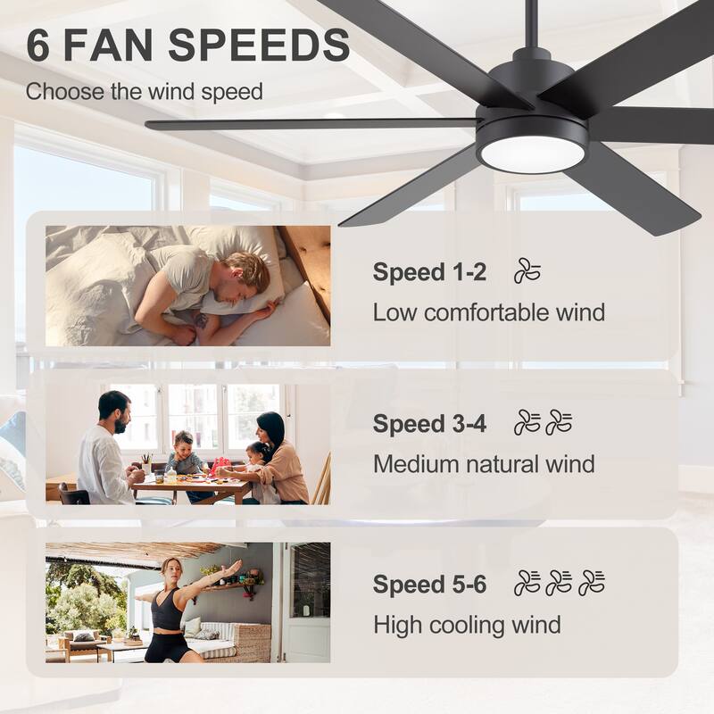 60" Reversible 10-Blade LED Ceiling Fan with Light and Remote
